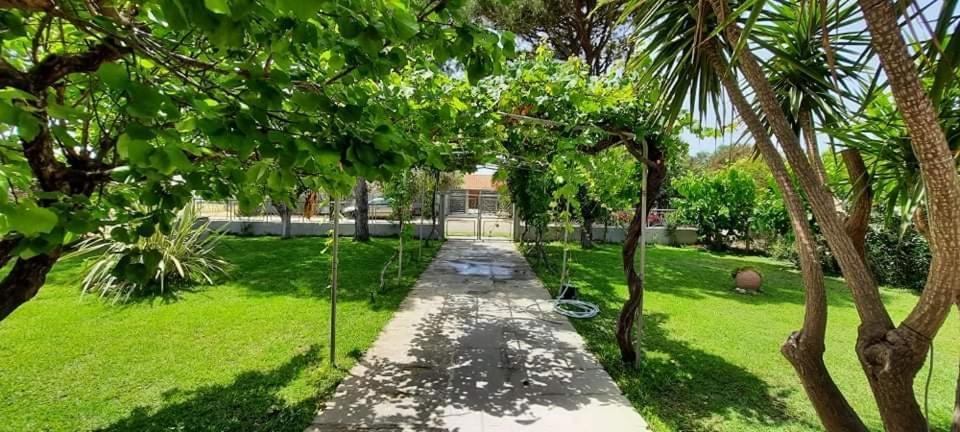 קאטאקולון Beach House For Up To 9 People Near Olympia מראה חיצוני תמונה